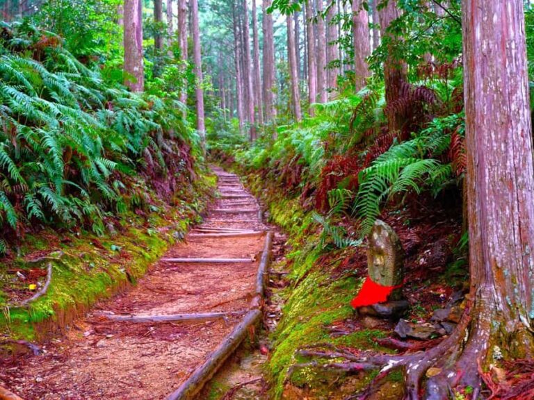 Wakayama: Walk the Kumano Kodo to Kumano Hongu Taisha - The Sum Up