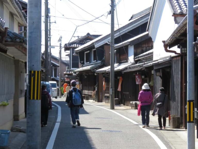 Wakayama: Yuasa, traditional Shoyu and Town Tour - What to Expect from the Tour