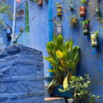 Walk To bluecity tour with guide - Final Thoughts: Is It Worth It?