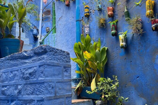 Walk To bluecity tour with guide - Final Thoughts: Is It Worth It?