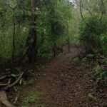 Walking Tour of Maharashatra Nature Park - Why This Tour Is a Solid Choice