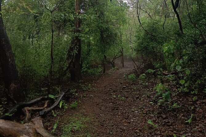Walking Tour of Maharashatra Nature Park - Why This Tour Is a Solid Choice