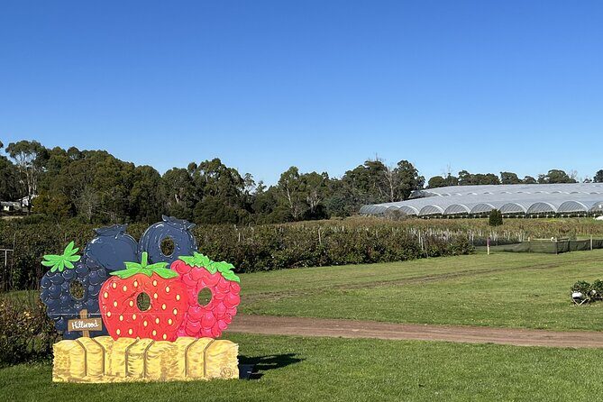 Wander the Tamar Valley - What You’ll Love About the Tour