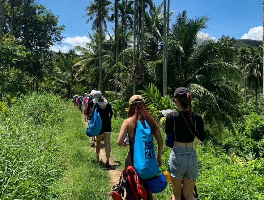 Wanning: A Day Hiking Trip to Riyue Bay Rainforest - How the Itinerary Unfolds
