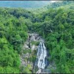 Wanning: Walking Tour in Xinglong Triangle Rainforest - What to Expect on the Tour