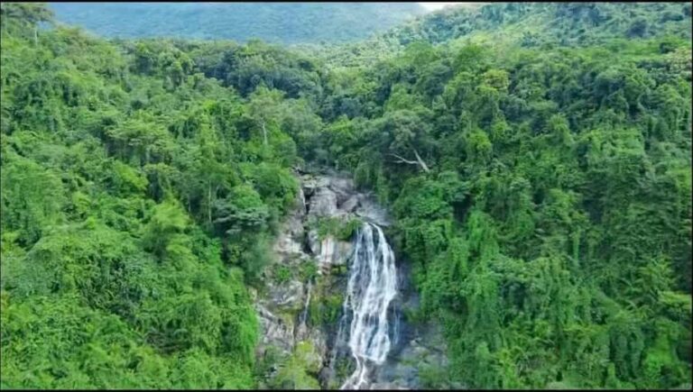 Wanning: Walking Tour in Xinglong Triangle Rainforest - What to Expect on the Tour