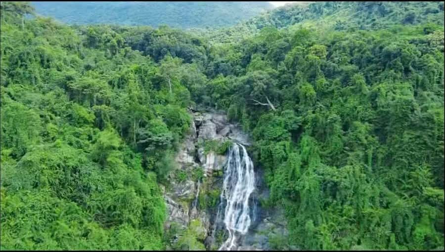 Wanning: Walking Tour in Xinglong Triangle Rainforest - What to Expect on the Tour