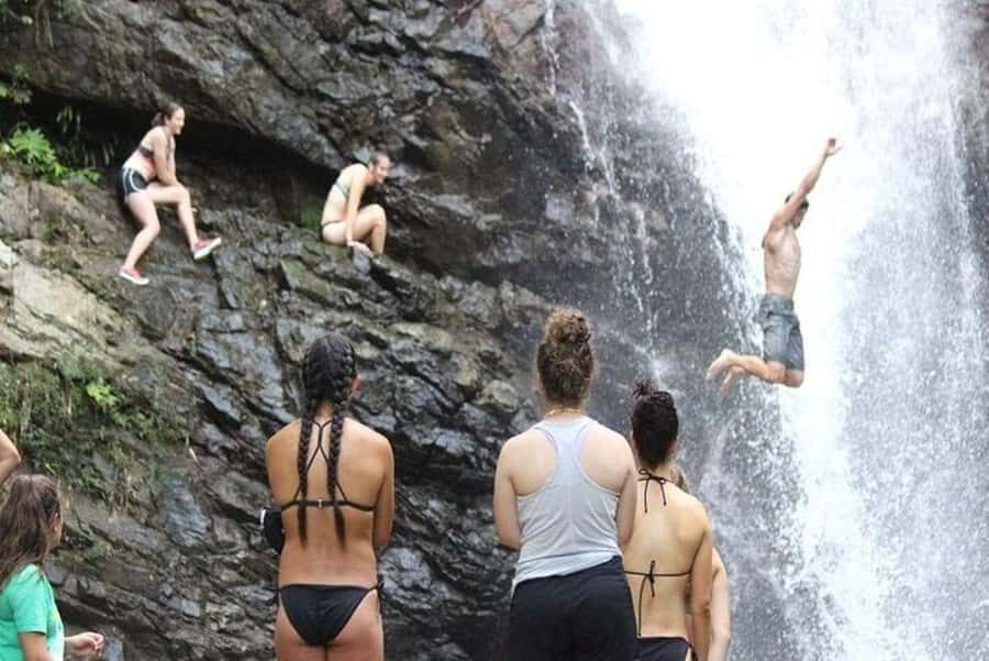 Waterfall Adventure & Fijian Village Journey from Nadi Hotel - In-Depth Breakdown of the Experience