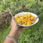 Wayanad: 2-Day Forest and Tribal Experience with Meals - Practical Details and Logistics