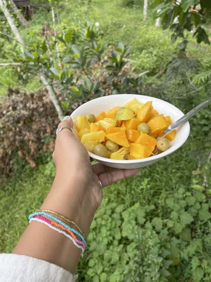 Wayanad: 2-Day Forest and Tribal Experience with Meals - Practical Details and Logistics