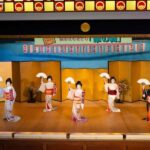Weekend Geisha Dance Performance Hana-no-Mai in Atami - What to Expect from the Experience