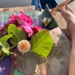 Weligama: Sunrise or Sunset Lotus Picking Canoe Tour - Who Will Enjoy This Tour?
