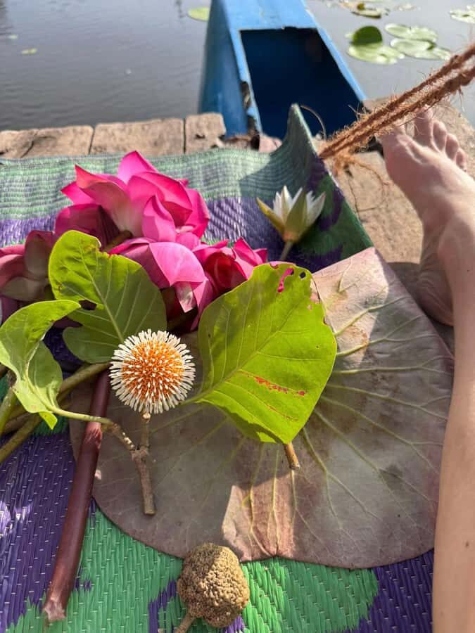 Weligama: Sunrise or Sunset Lotus Picking Canoe Tour - Who Will Enjoy This Tour?