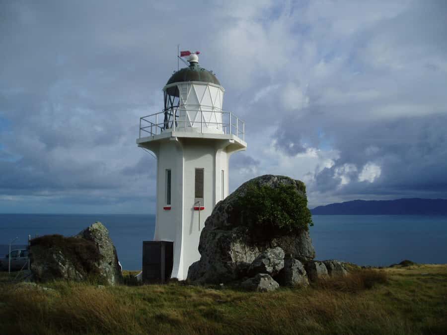 Wellington: Baring Head Lighthouse Walk - Practical Details and Tips