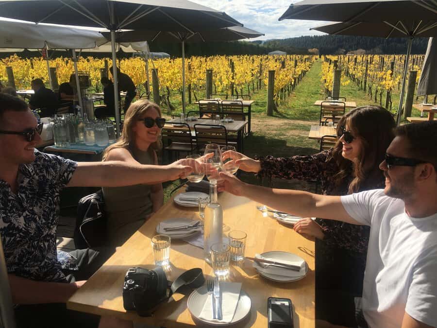 Wellington: Martinborough Private Winery Tour with Lunch - Who’s It For?