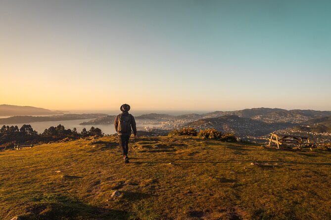 Wellington: Wild Skyline Guided Hiking Tour, Transfers + Lunch - Who Will Love This Tour?