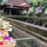 West Bali: Private Blessing Ceremony and Temple Tour - Detailed Breakdown: Why This Tour Works