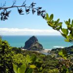 West Coast Wilderness Experience - Private Tour From Auckland - Analyzing the Cost and Value