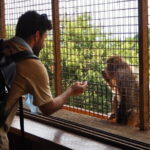 West Kyoto & Arashiyama: Walking 1Day Tour w/Matcha & Calligraphy - Starting the Day at Bamboo Forest Street