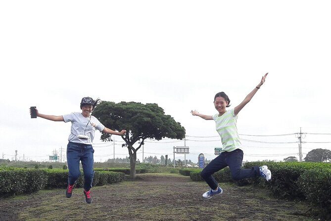 West of jeju tour for Seogwipo Gangjeong Cruise Customers - Practical Details and How It Adds Up