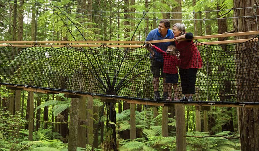 Whakarewarewa Maori Village, Lakes, and Redwoods Forest - Deep Dive into Whakarewarewa Living Maori Village