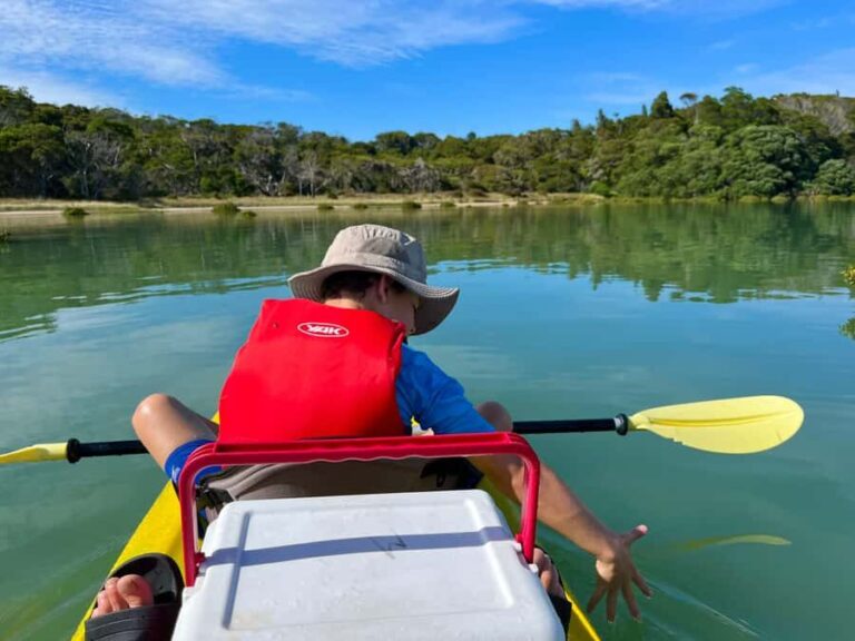 Whakatane: Ohiwa Harbour Guided Kayak Tour - The Itinerary in Detail