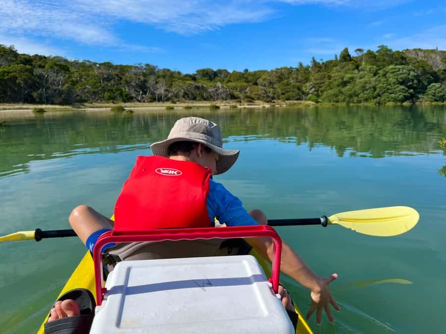 Whakatane: Ohiwa Harbour Guided Kayak Tour - The Itinerary in Detail