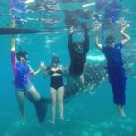 Whale Shark Encounter and Sumilon Sandbar with Kawasan Falls - What’s Included, What’s Not
