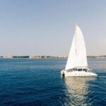Whale Watching in a Yacht in Mirissa - Who Should Consider This Tour?