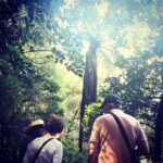 Whangrei: Private Mori Cultural Experience with Lunch - Why This Tour Offers Real Value