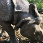 Wildlife Adventure in Chitwan Nepal - Exploring the Nepal Mountain Club Wildlife Tour in Detail