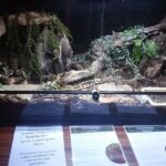 Wildlife Centre Experience - An In-Depth Look at the Wildlife Centre Experience