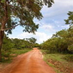Wilpattu Half Day Safari from Sigiriya - Pricing and Value