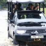 Wilpattu National Park Private Safari From Dambulla & Sigiriya - Who Is This Tour Best For?