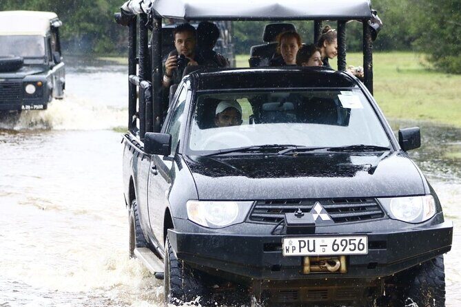 Wilpattu National Park Private Safari From Dambulla & Sigiriya - Who Is This Tour Best For?