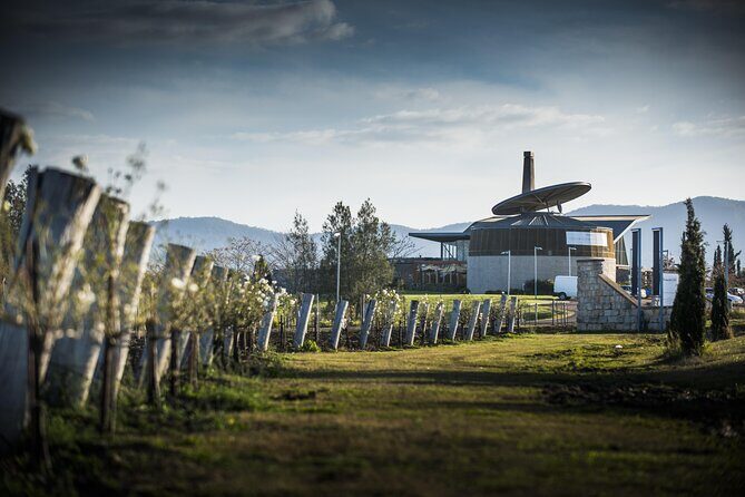 Wine Tasting in Pokolbin with Foodie Adventure - The Role of the Guides