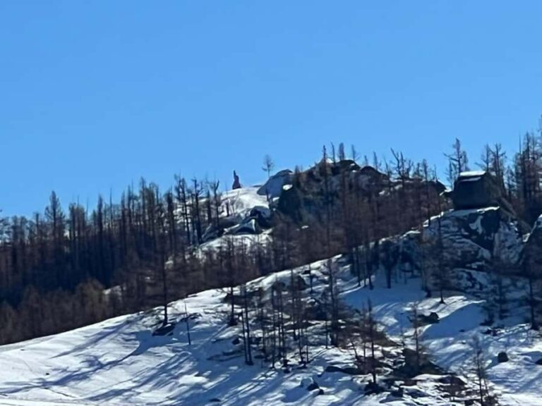 Winter tour: 2-Day Khustai & Terelj National Park Tour - What We Loved About This Tour