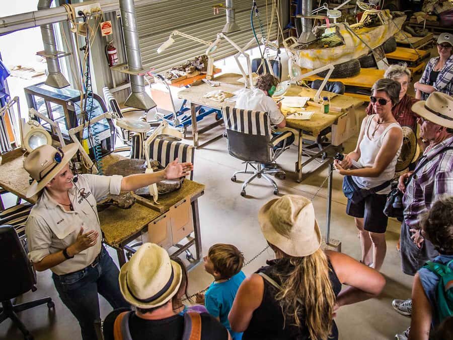 Winton: Age of Dinosaurs Museum Half Day Guided Transfer - Why You Should Consider This Tour