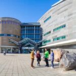 WLG: Museum of NZ Art Narratives Tour & General Admission - Practical Details and Tips