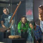 WLG: Museum of NZ Mori Highlights Tour & General Admission - Frequently Asked Questions