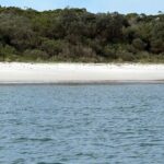 Wollongong and Kiama South Coast NSW Tours - Transport & Pricing — Comfort in Focus