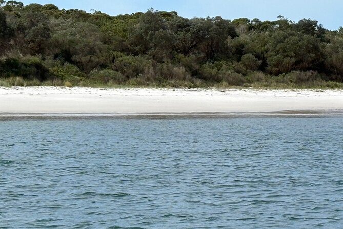 Wollongong and Kiama South Coast NSW Tours - Transport & Pricing — Comfort in Focus