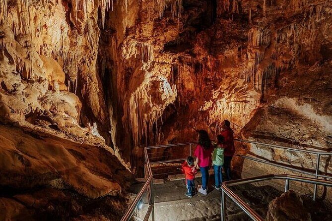 Wombeyan Caves: Fig Tree Cave Tour - Final Thoughts