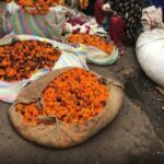 Women only Full Day Tour of Jaipur - Discovering Jaipur: What the Tour Includes