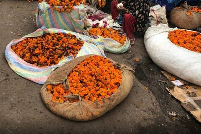 Women only Full Day Tour of Jaipur - Discovering Jaipur: What the Tour Includes