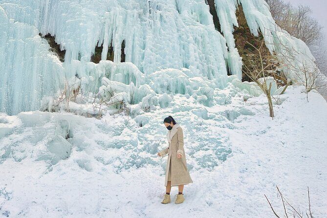 Wondae-ri Birch Forest and In-je Maebawi Icewall Full Day Tour - Highlights Based on Reviews and Experience