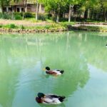 Wu Village Getaway Package with Hotel and Breakfast for 2 PAX - Who Will Love This Tour?