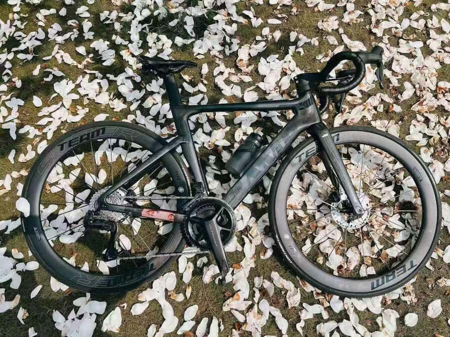 Wuhan: East Lake Guided Bike Tour with Gift Pack - Practical Details and What Travelers Should Know