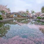 Wuxi Lingshan Buddhist Scenic Spot and Tai Lake Private Tour - Practical Details and Value