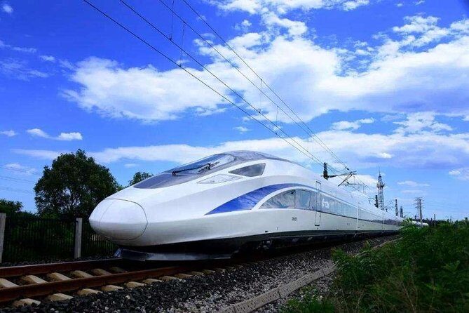 Wuxi Lingshan Grand Buddha Private Tour from Nanjing by Bullet Train - Detailed Breakdown of the Itinerary